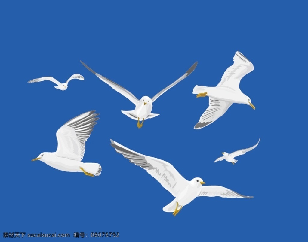 海鸥 海洋 白色 飞翔 展翅 海报 矢量 海鸥剪影 矢量海鸥