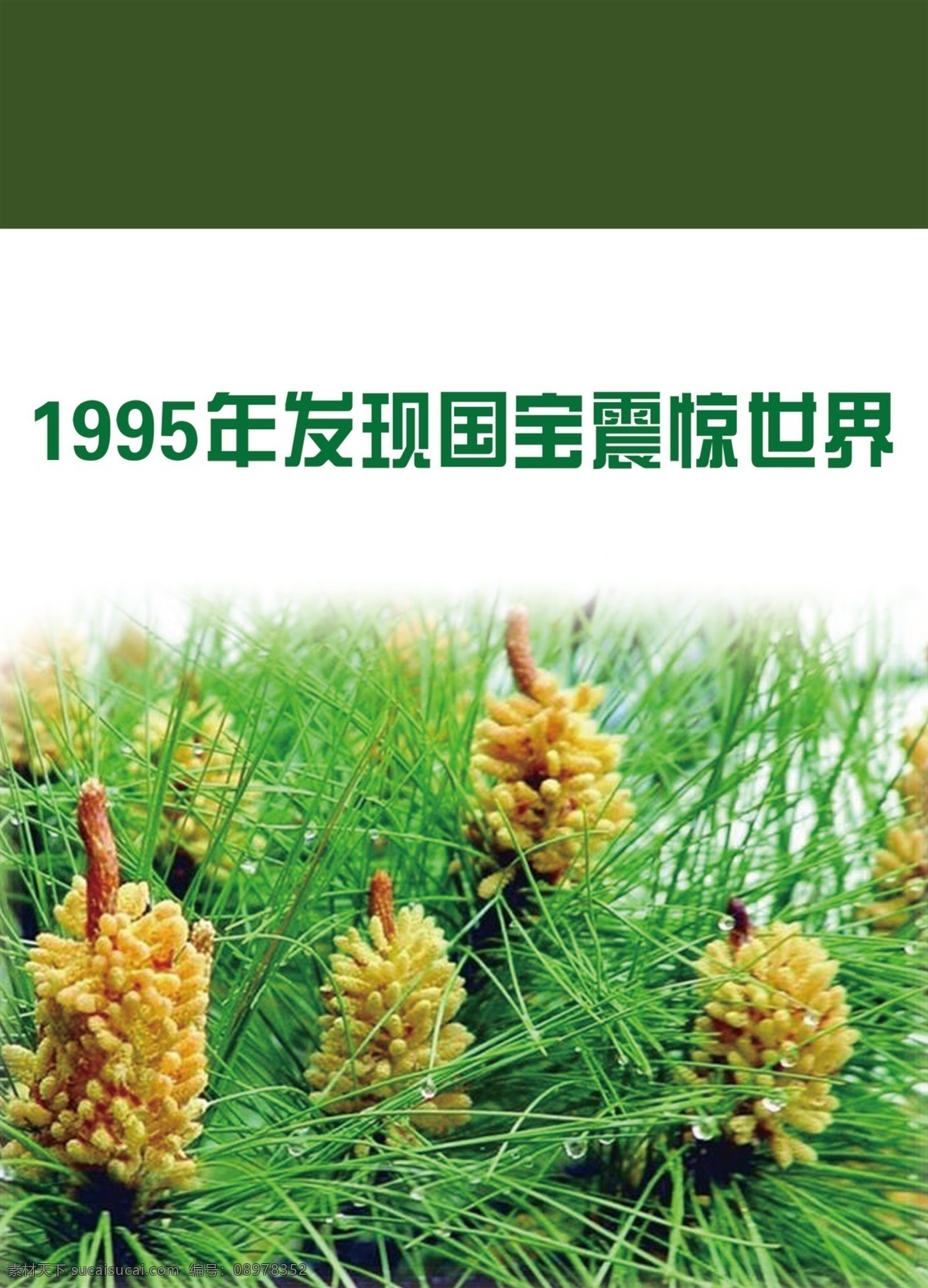 松花粉海报 国珍 国珍海报 松花粉 国珍广告 松花粉广告 绿色