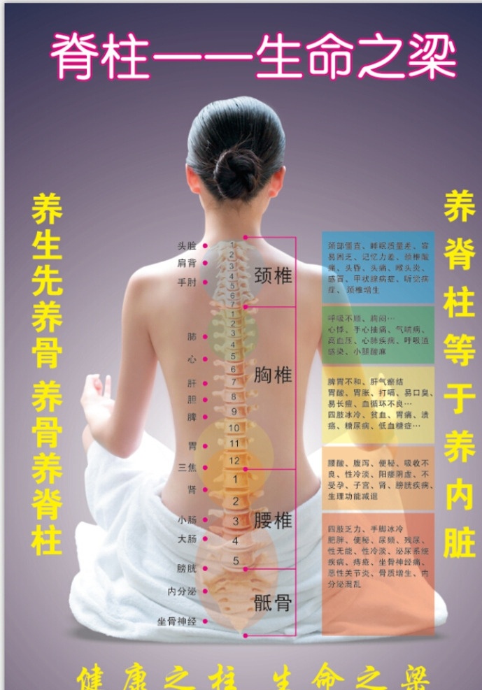 脊柱养生 生命之梁 健康之柱 颈椎 胸椎 腰椎 骶骨 海报