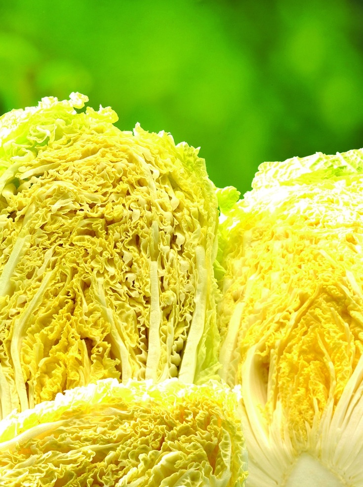 白菜心 嫩白菜 大白菜 蔬菜 新鲜蔬菜 生物世界