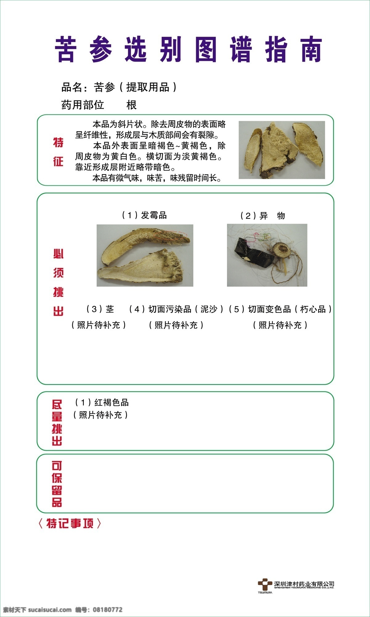 参考 广告设计模板 药品 源文件 展板模板 指南 苦参药品展板 苦参 选别 图谱 品名 异物 药物作用 图号参考 其他展板设计
