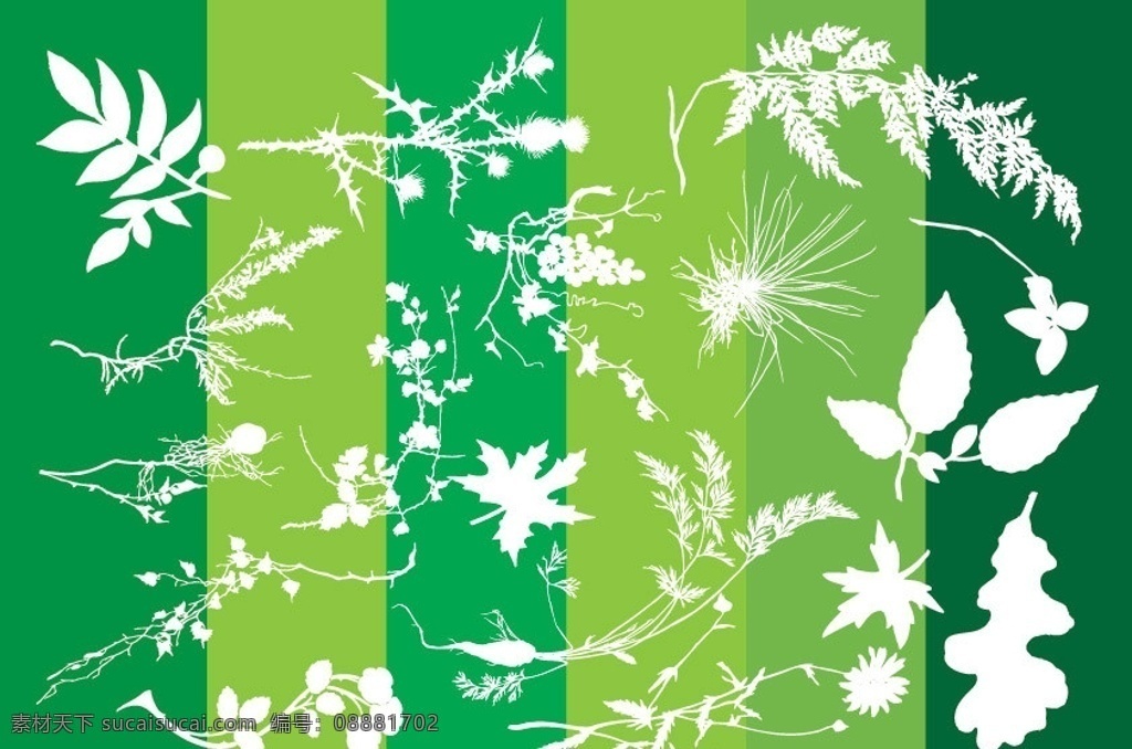 树叶剪影 树叶 树枝 树枝剪影 植物 植物主题 树木树叶 生物世界 矢量