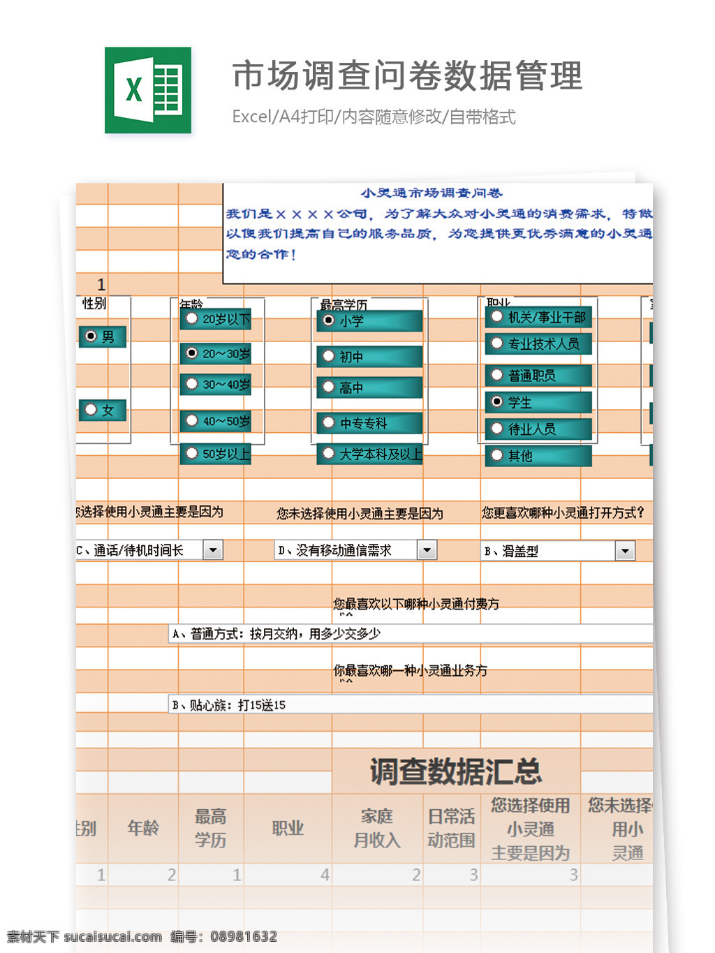 市场调查 问卷 数据管理 excel 模板 表格 表格模板 图表 表格设计