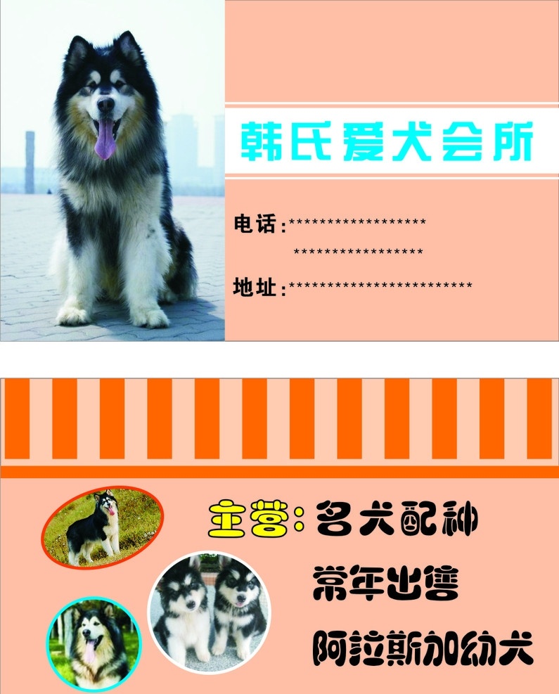 宠物会所名片 名片 名片模版 粉 橙色 背景 阿拉斯加名犬 宠物 名片卡片 矢量