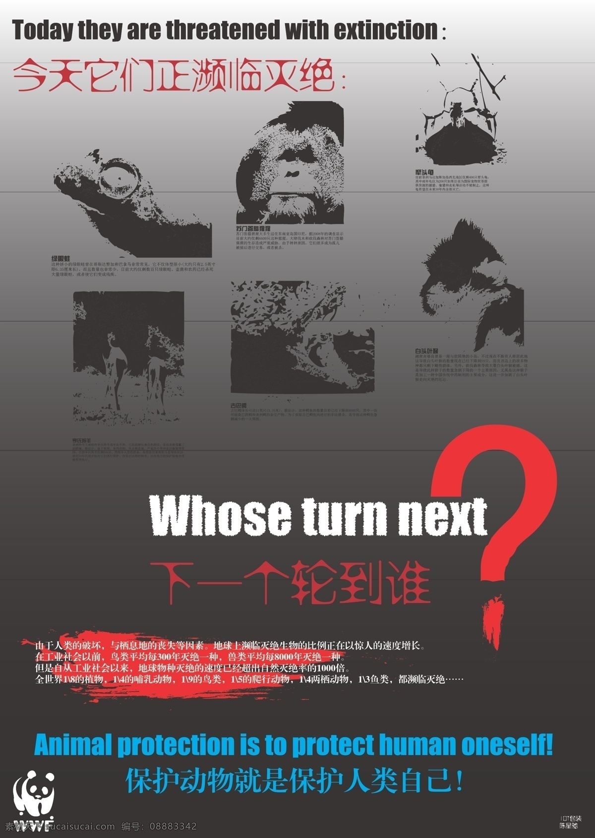 爱护 保护 保护动物海报 动物 公益 珍惜 海报 矢量 模板下载 环保公益海报