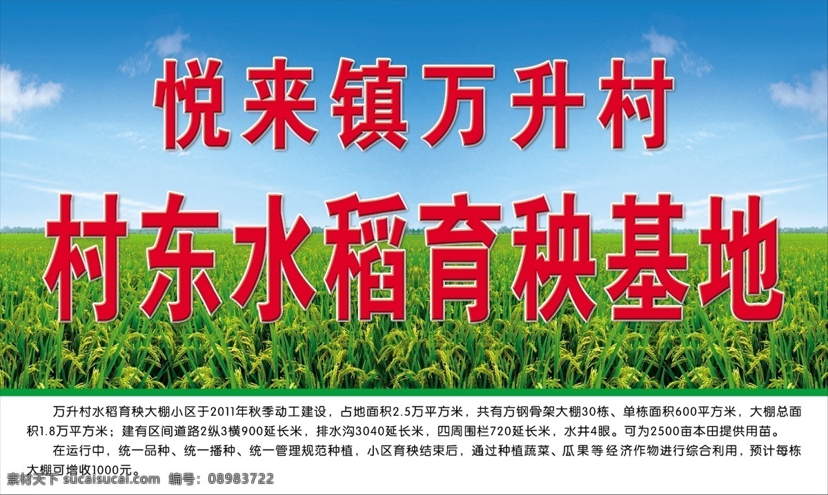 育秧 基地 公示板 育秧基地 稻田 蓝天 简介 图版 红色 蓝色 绿色 公示 展板模板 广告设计模板 源文件