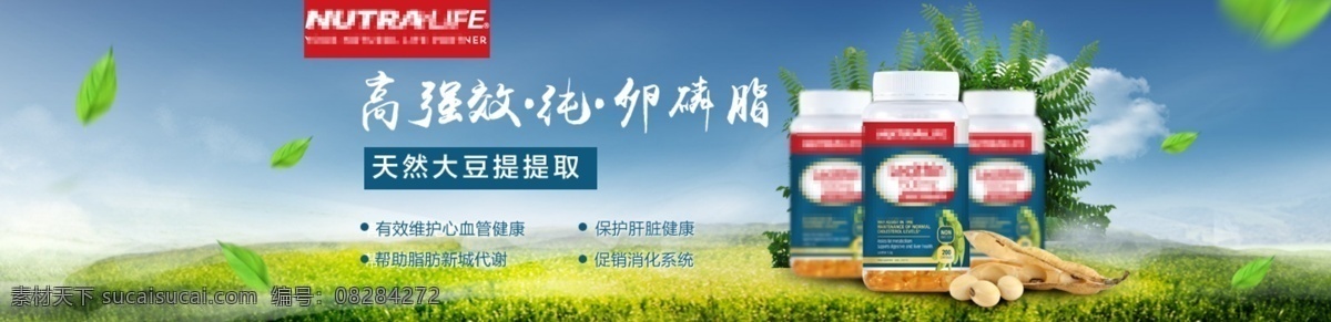 养生保健 全 屏 海报 卵磷脂 保健品 保护肝脏 促消化 绿色