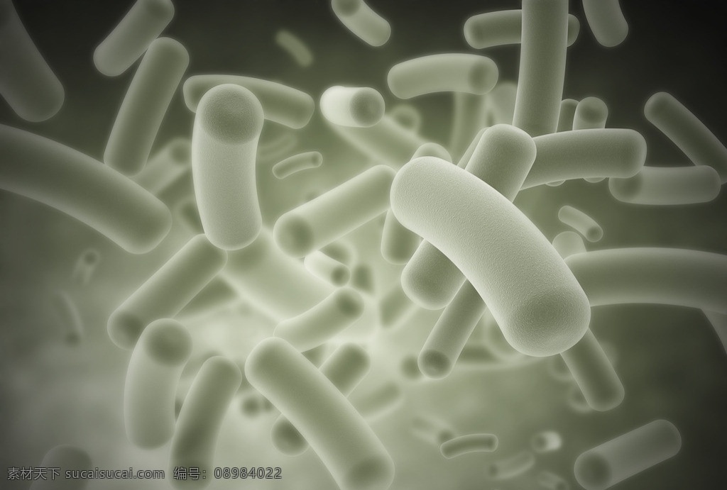 微生物 病毒 细菌 入侵 吞噬 细胞 禽流感 非典 传染病 医学 医疗 3d 医疗护理 现代科技