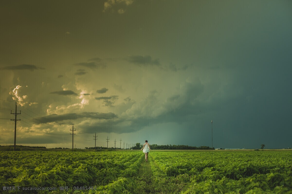 天空 蓝天 天空背景 黄昏 夕阳 傍晚 晚霞 白云 云 田野 女孩 奔跑的女孩 奔跑 美女 天空田野 田野天空 田野中奔跑 农村 菜地 仙境 大气 迷幻 幻想 迷幻田野 大气田野 绿色 田园 田园风光 自然景观