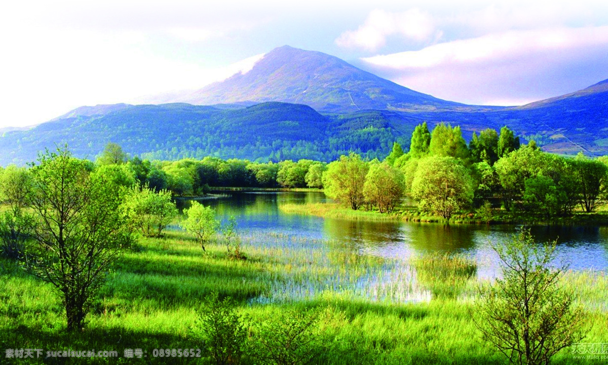 九寨沟 旅游背景 风景区 湿地 绿叶 水草 远山 自然景观 风景名胜