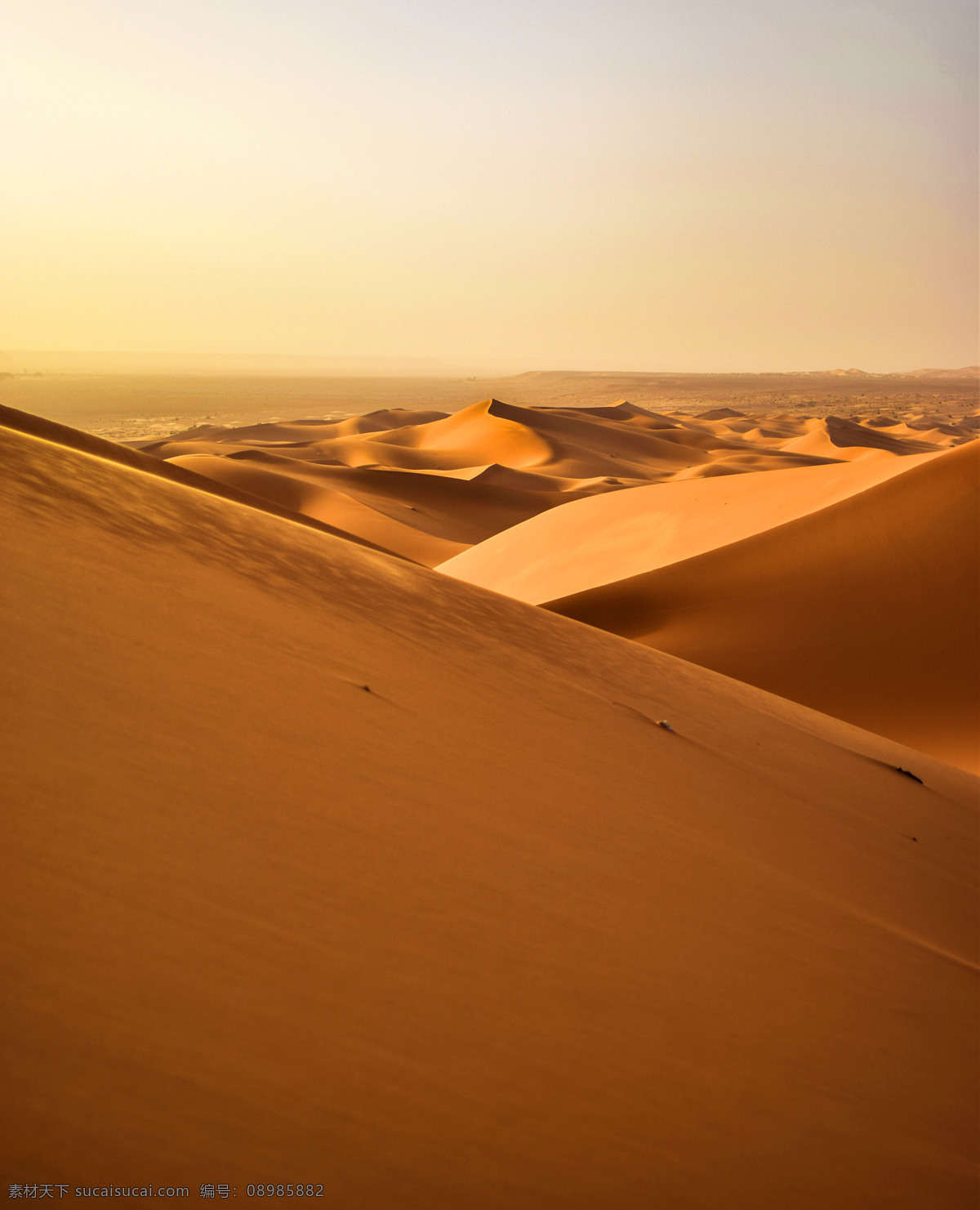 夕阳沙漠 沙漠 旅游 日落 夕阳 风景 高清 大图 自然景观 自然风景