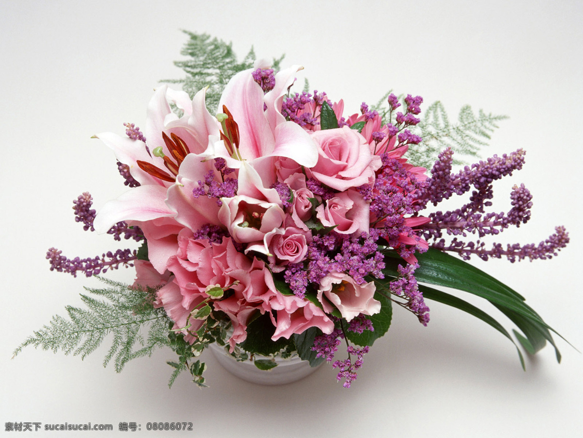 鲜花 写真 花朵 色彩 摄影图 鲜艳 一簇花 光彩夺目 图片库