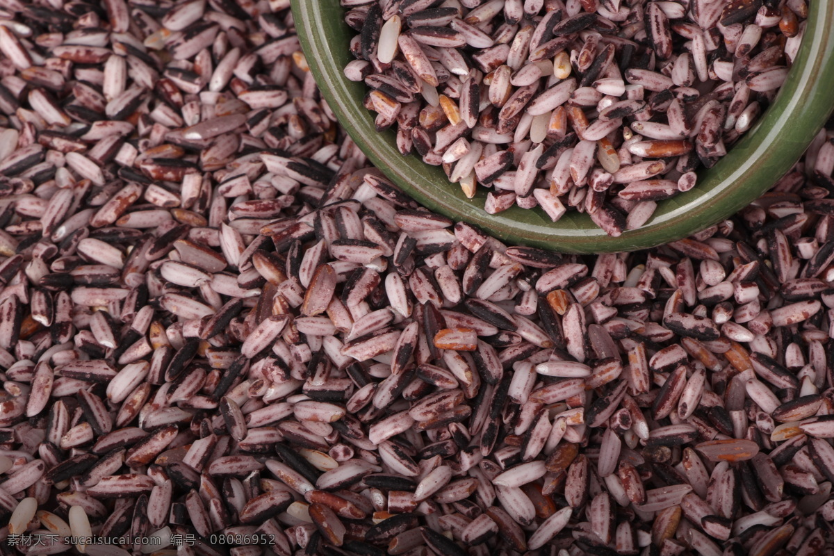 红米 糙米 大米 粮食 粗粮 农作物 餐饮美食 传统美食