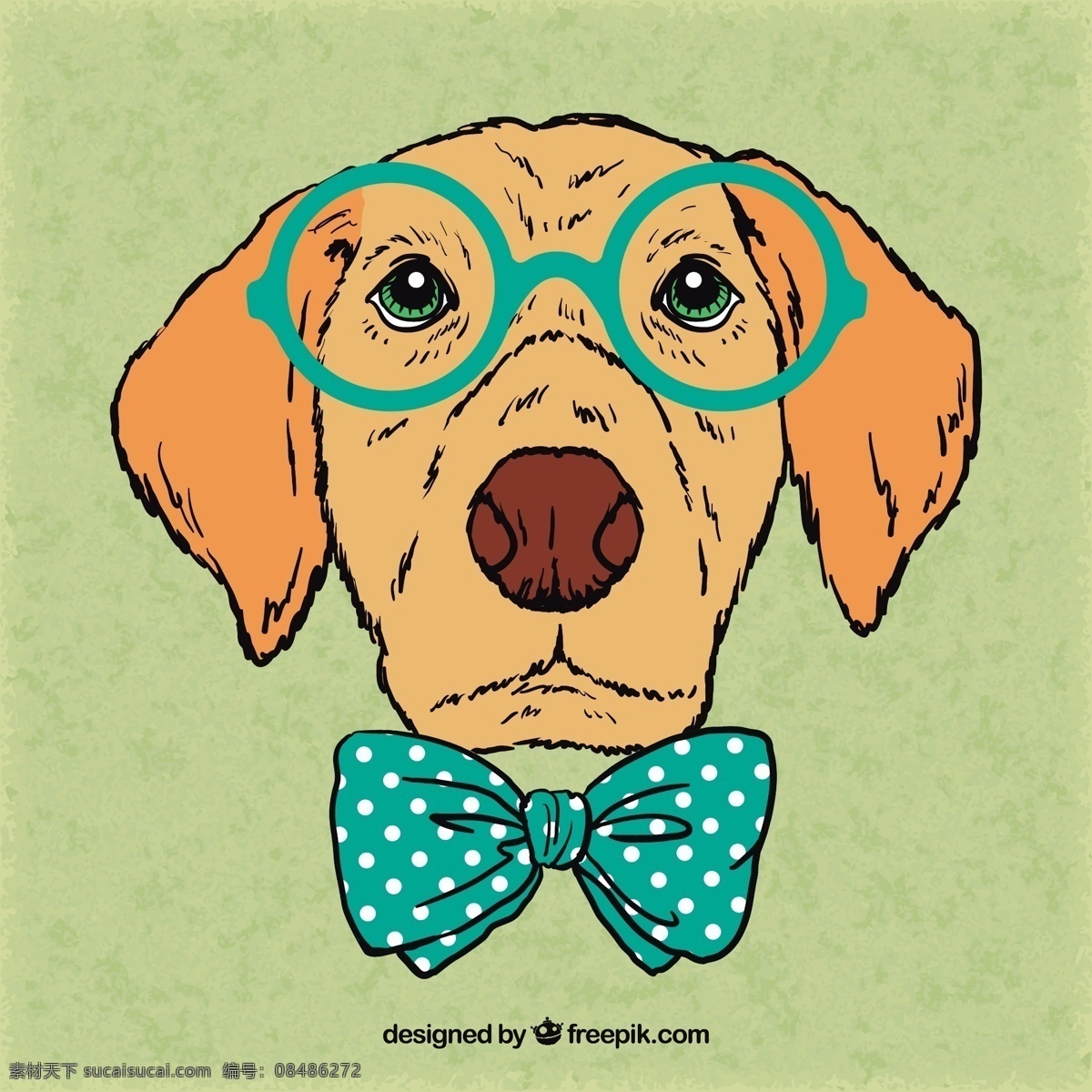 手绘智力犬 一方面 狗 动物 手绘 时髦 弓 眼镜 宠物 插画绘制 知识