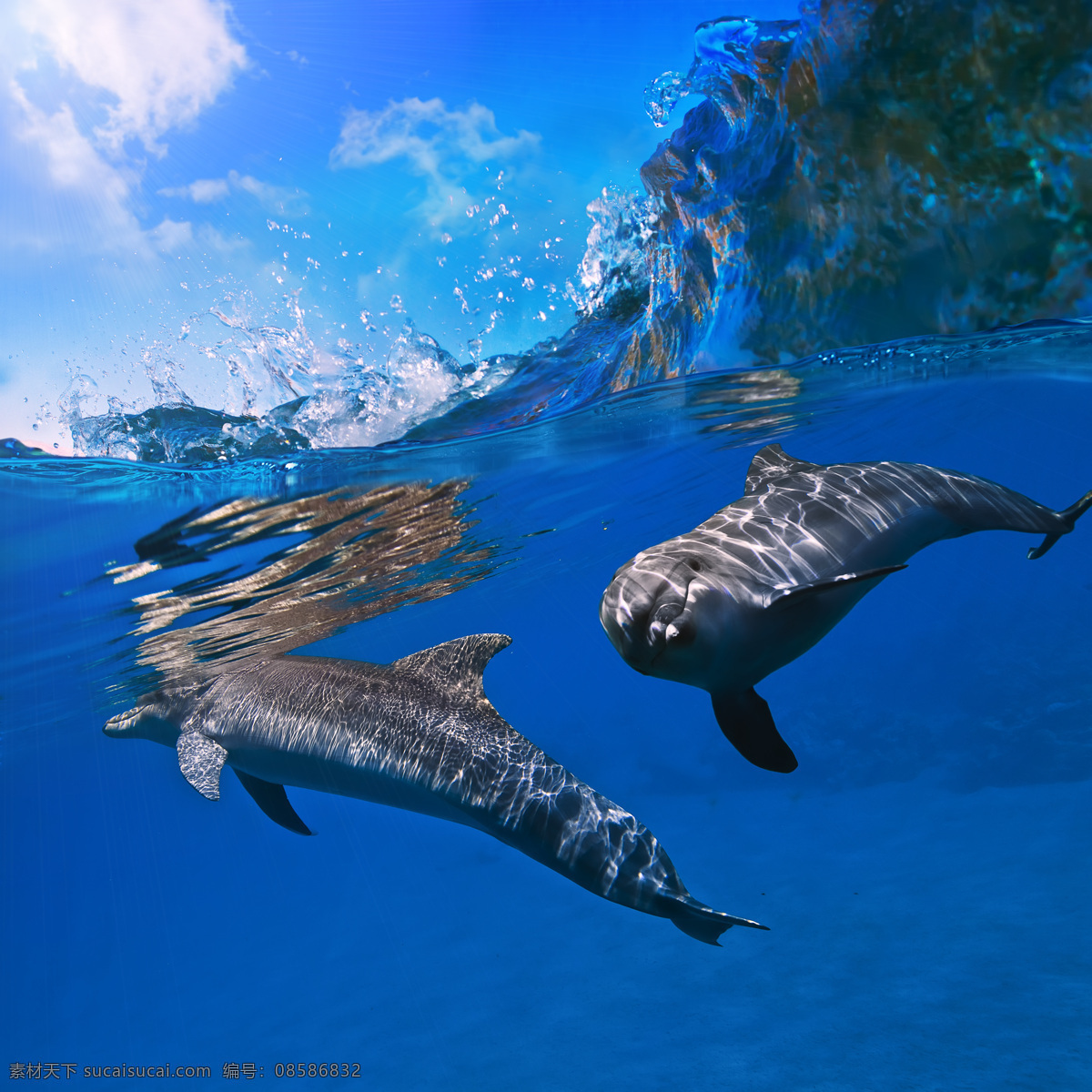 海底 世界 高清 图 海 海水 海底世界 鱼 鱼素材 海底素材 海豚 蓝 蓝色经典 高清摄影图 海浪 浪 浪花 水珠 大海图片 风景图片
