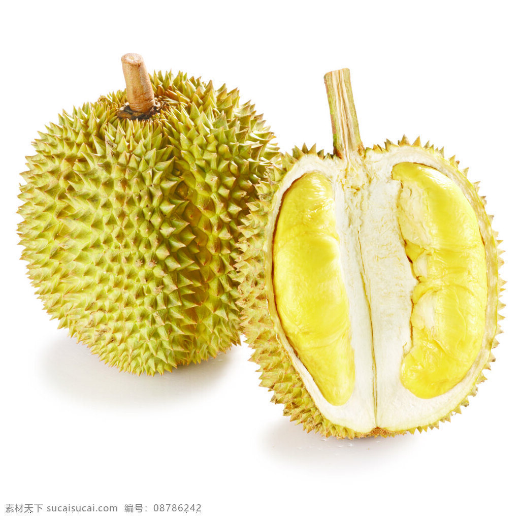 甲仑榴梿 榴莲 甲仑榴莲 水果 水果之王 榴梿 生物世界