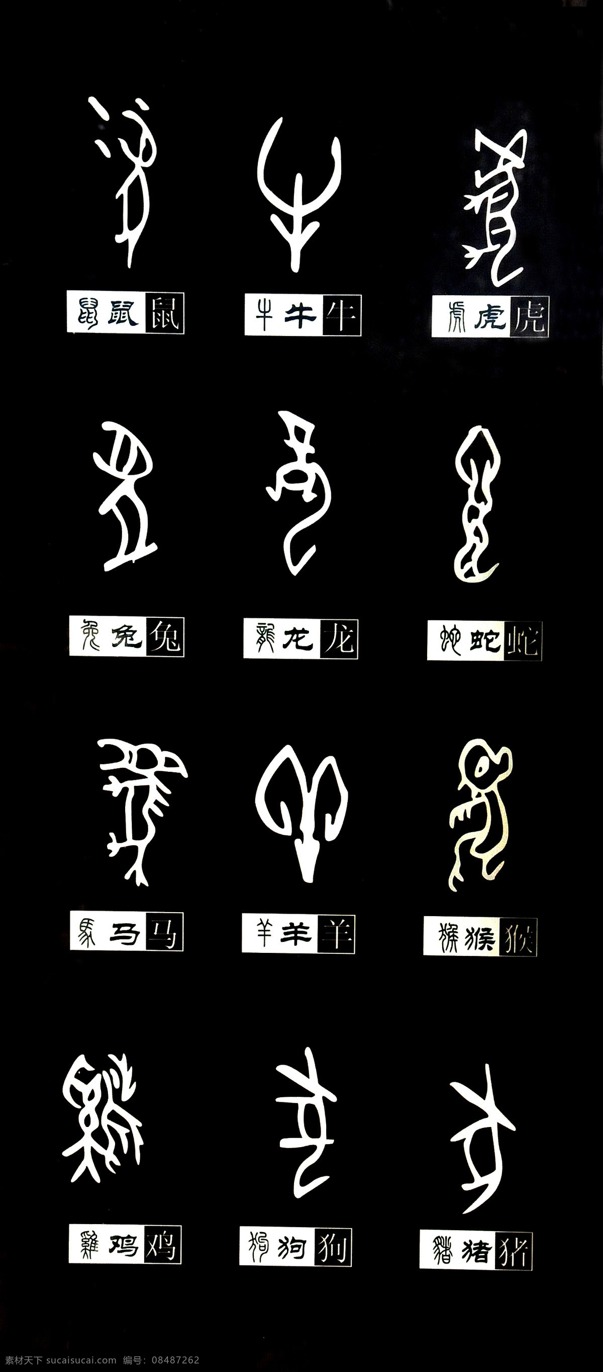 甲骨文 十二生肖 文字 甲骨文对照 生肖字体 传统文化 文化艺术