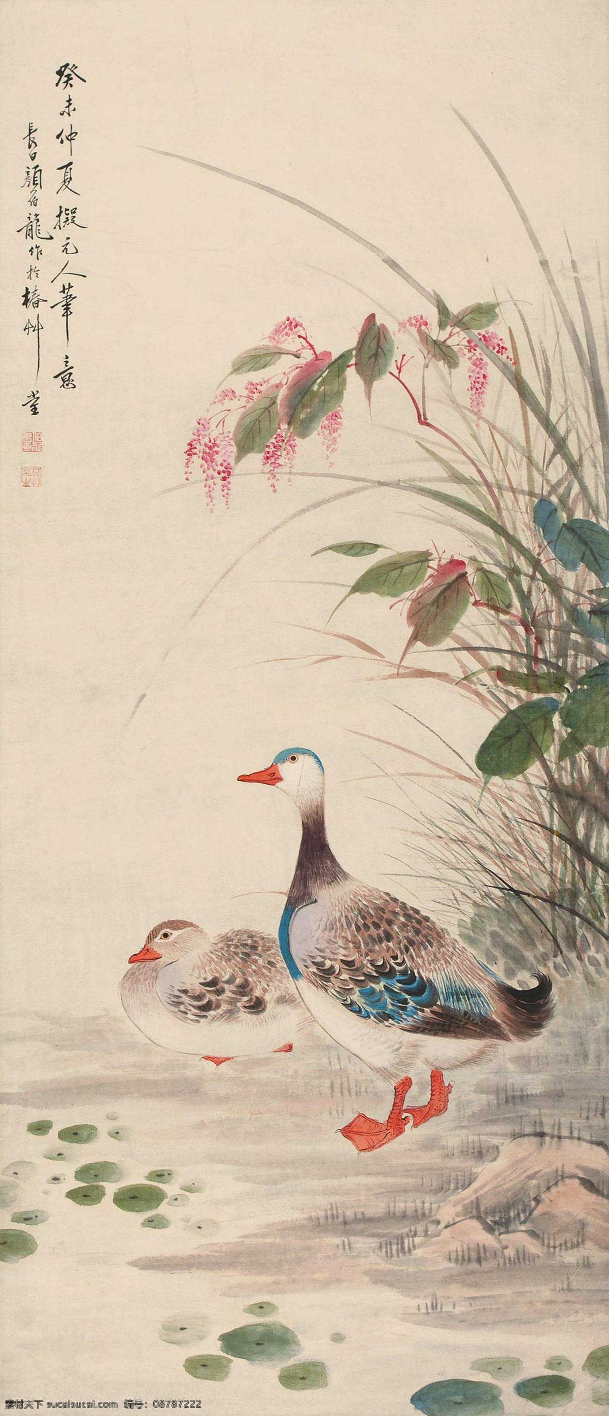 鸭子 芦苇 国画 工笔画 中国风 绘画 装饰画 水墨 文化艺术 绘画书法