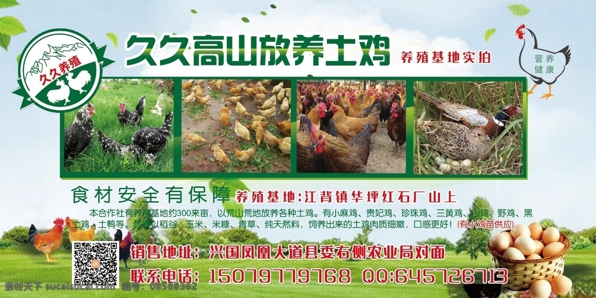 农林养殖广告 养殖场 农林养殖 农村 养鸡 绿色 健康