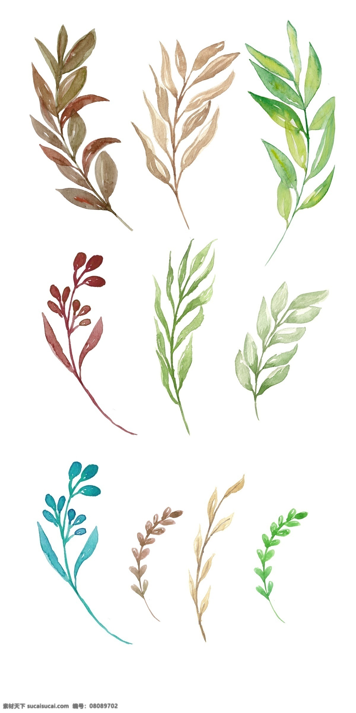 绿色 花 藤 植物 插画 漂亮的花藤 蓝色的叶子 创意花藤 植物装饰 立体花藤 花藤插画 花藤装饰 树叶 树枝