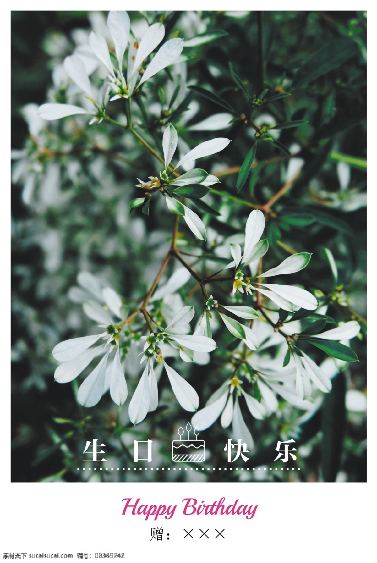 生日贺卡 卡片 卡 证 明信片 生日 快乐 生日快乐 生日卡 卡证