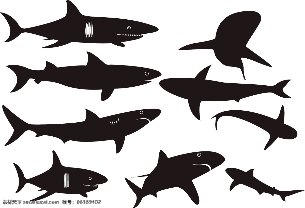 鲨鱼 海洋鱼类 生物世界 海洋生物 海洋鱼类剪影 鲨鱼剪影 海洋鱼 海鱼 鲨鱼矢量素材 鲨鱼模板下载 大白鲨 作鲛 鲛鲨 沙鱼 海中狼 海中猛兽 食肉动物 虎鲨 深海鲨鱼 海洋动物 矢量