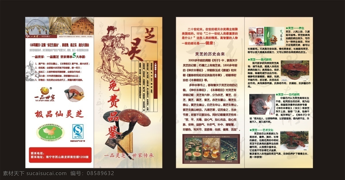 仙草灵芝 灵芝 二折页 仙草 dm单 宣传 矢量