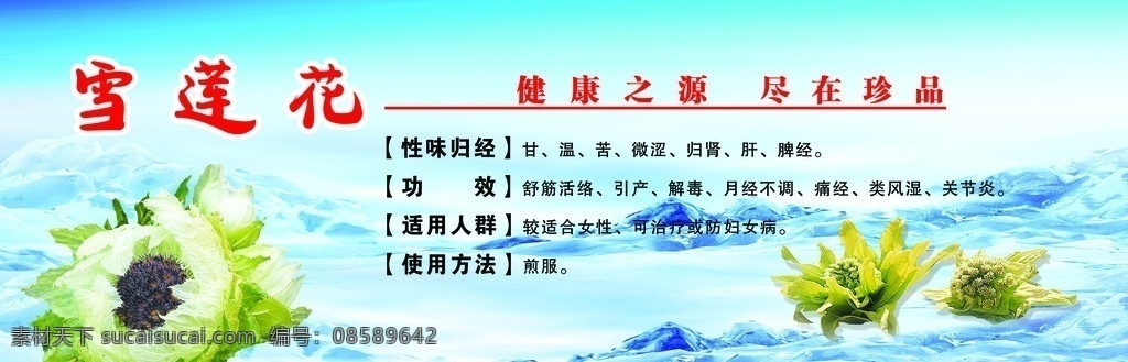 雪莲花 药 中药 特产 营养品 健康 补品 功效 药店 雪山 分层 源文件