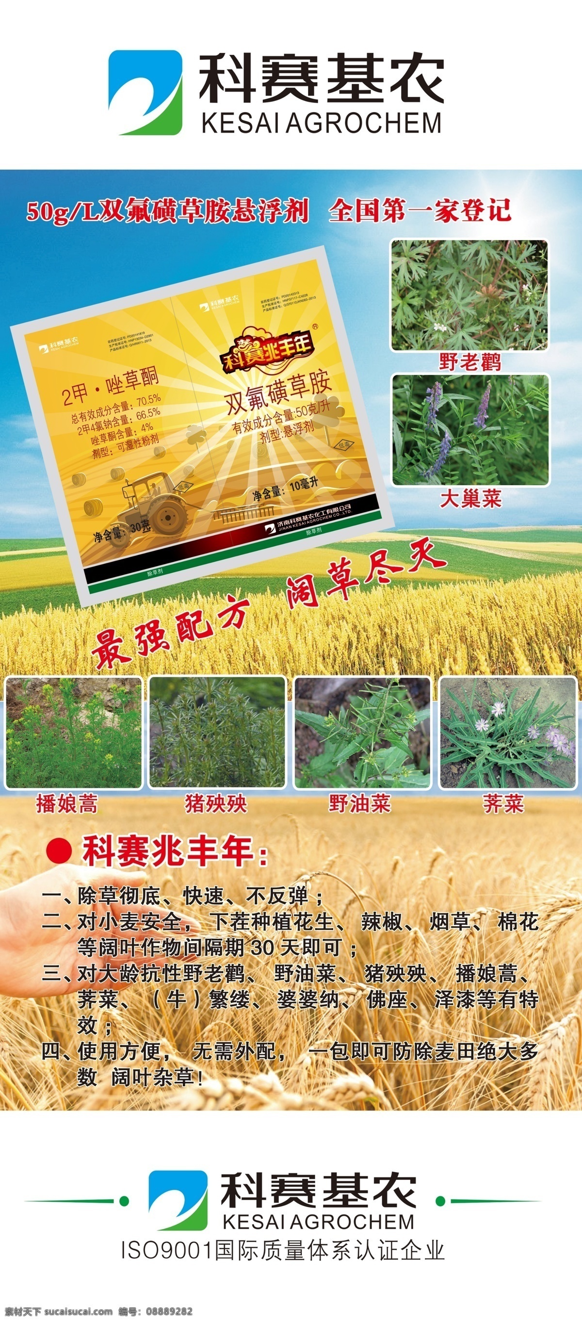 小麦产品展架 小麦 展架 产品 黄色 绿色 分层