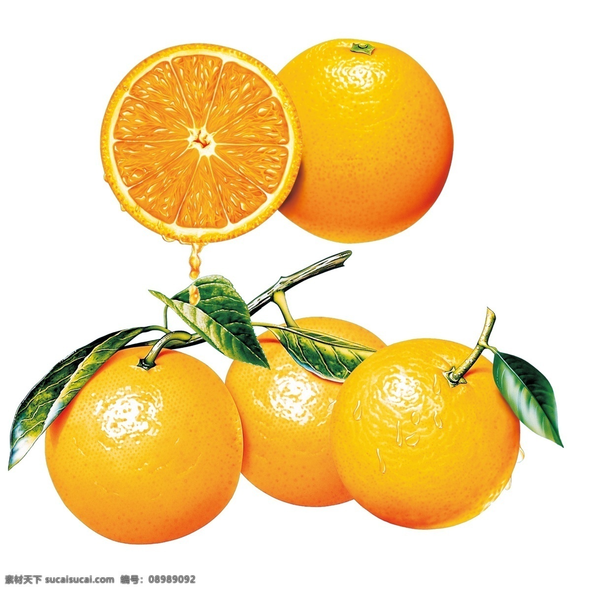 橙子 橙子素材 绿色橙子 柑橘素材 新鲜橙子 橙汁 新鲜水果 新鲜 西柚 绿叶 柑橘 桔子 成熟 脐橙 橙子树 果树 果园 水果 美食 美味 多汁 甜橙 切开的橙子 金色的橙子 分层 源文件