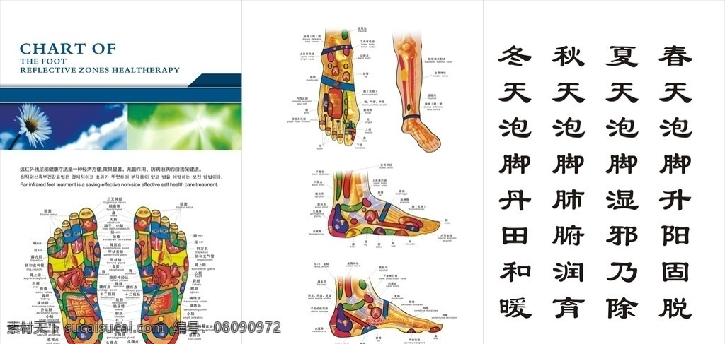 足 部 穴位 对应 内脏 图 足部 内脏图 组织结构 远红外线治疗 招贴设计