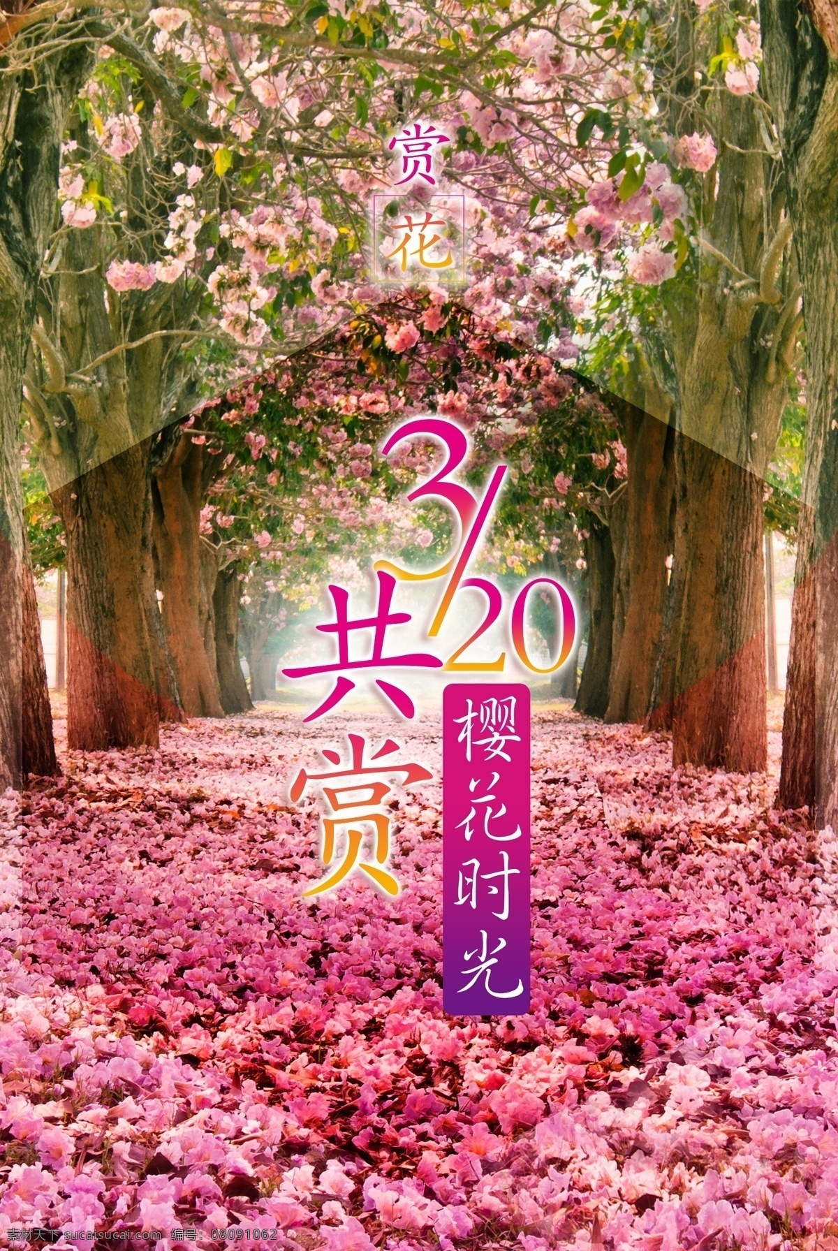 樱花节 宣传海报 樱花 樱花树 浪漫樱花 日本樱花 樱树 樱花图片 樱花节活动 清明樱花祭 粉色樱花 郊游 樱花节广告 东京樱花 樱花节展板 樱花背景 日本旅游 东京旅游 白色樱花 樱花摄影 樱花节摄影 樱花喷绘 零件