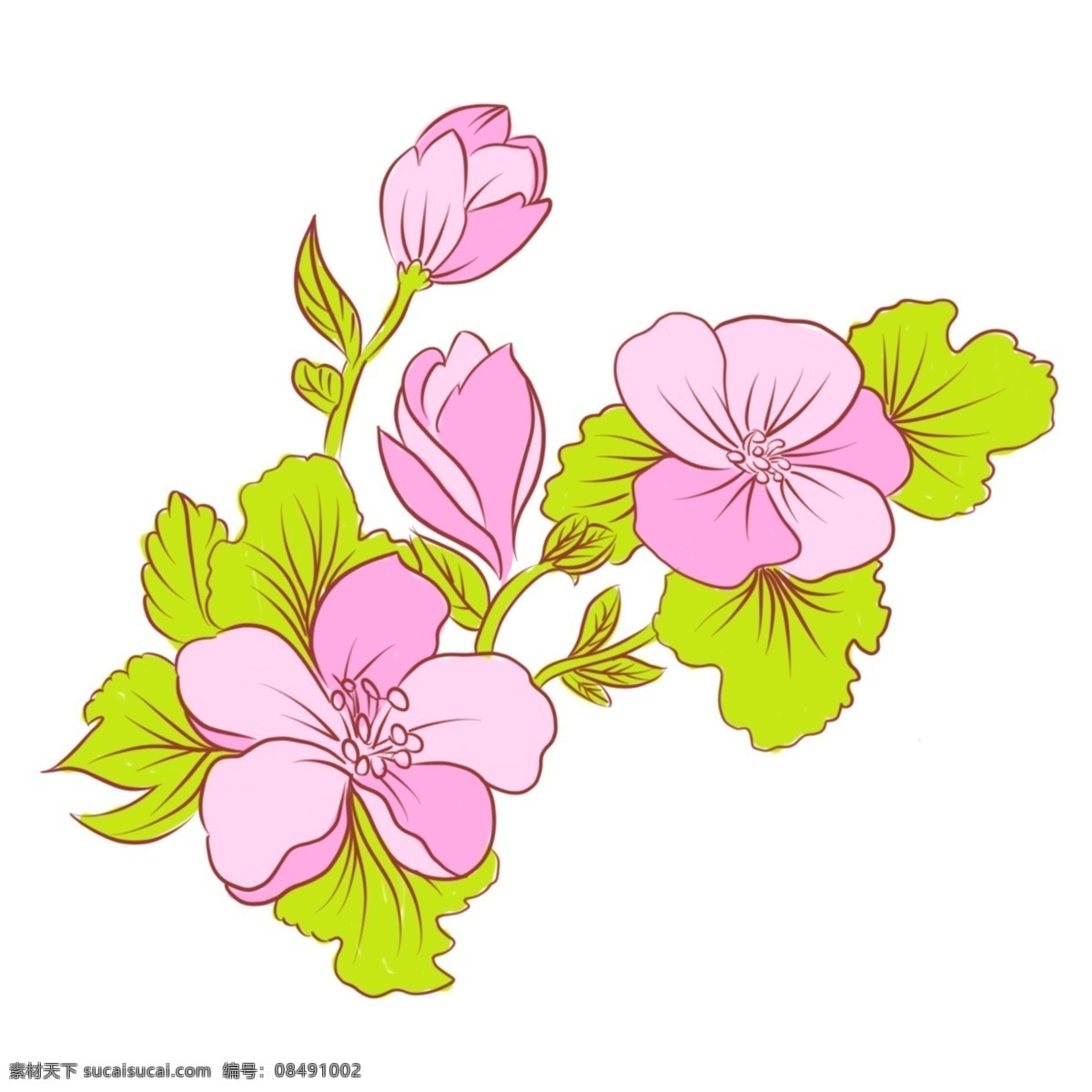 手绘 花卉 桃花 元素 商用 手绘花 植物 手绘桃花 手绘植物 桃花节