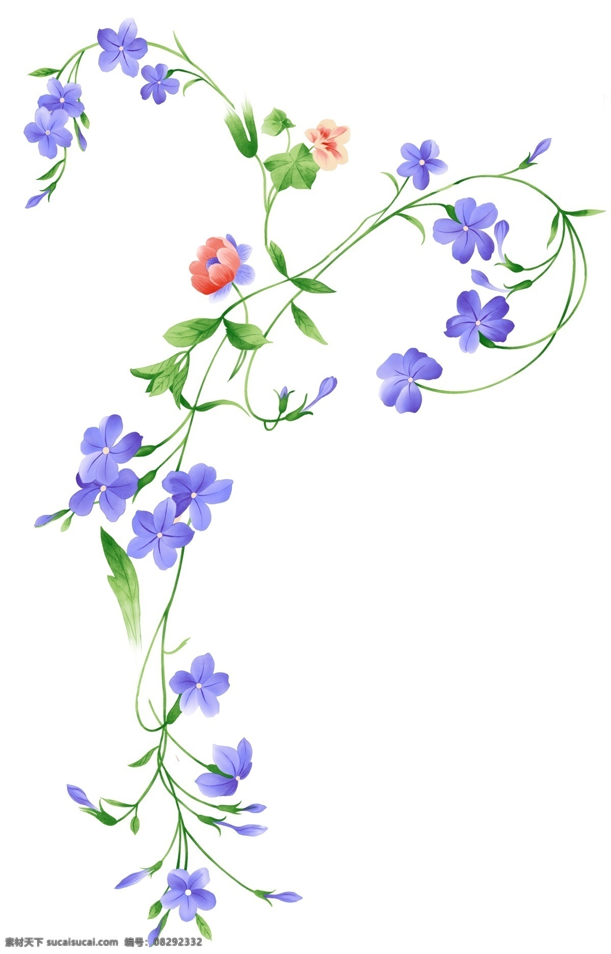 紫色花 紫色花藤 移门图 花纹 ps 花朵图案 分层