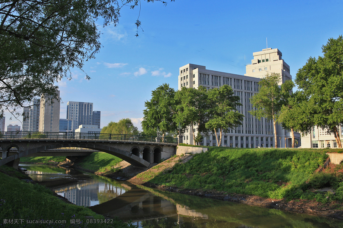 黑龙江 哈尔滨 东北林业大学 风景