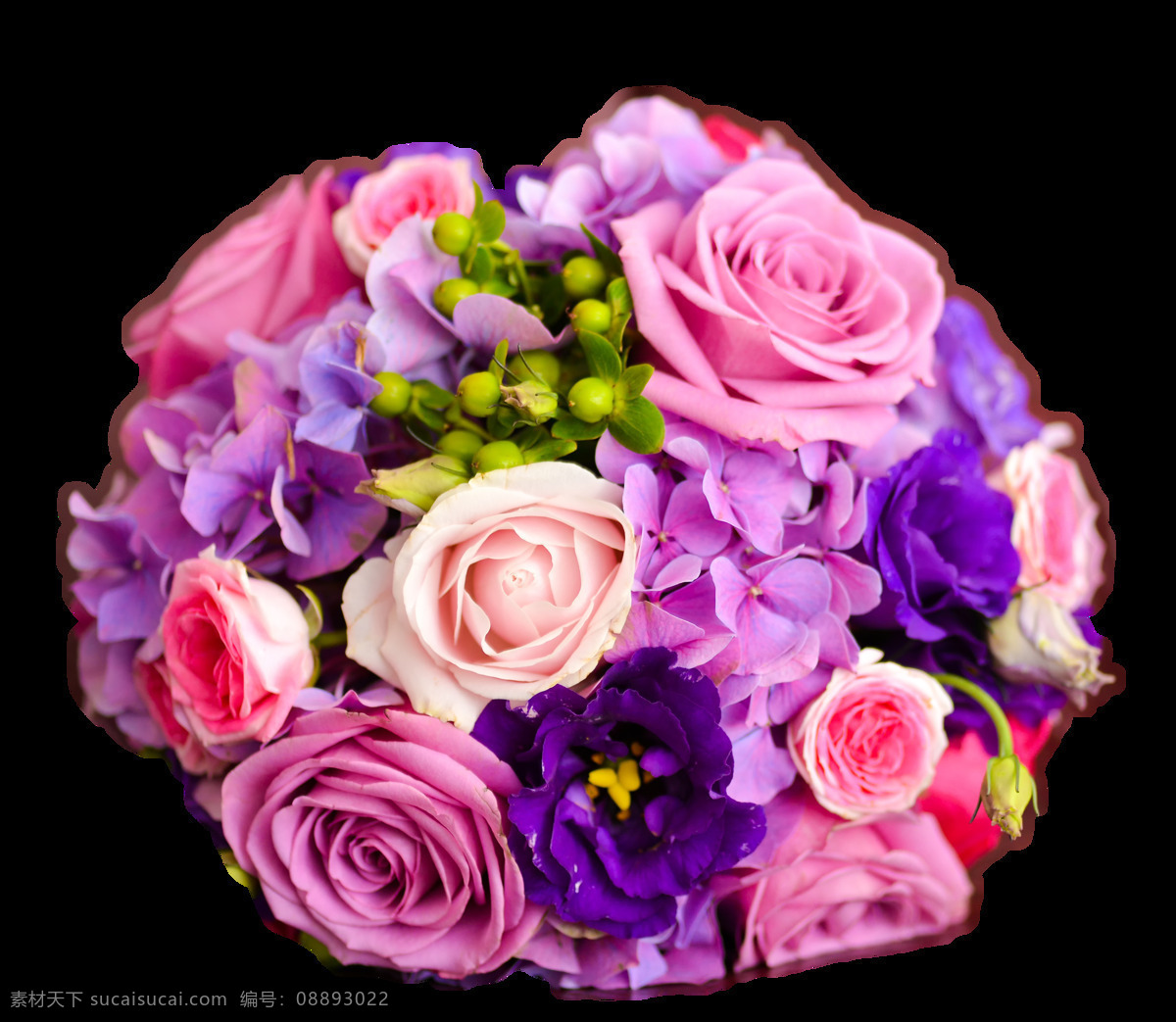 美丽 紫色 玫瑰花 花朵 花束 实物 元素 花瓣 花瓣素材 飘落的花瓣 素材唯美 唯美素材