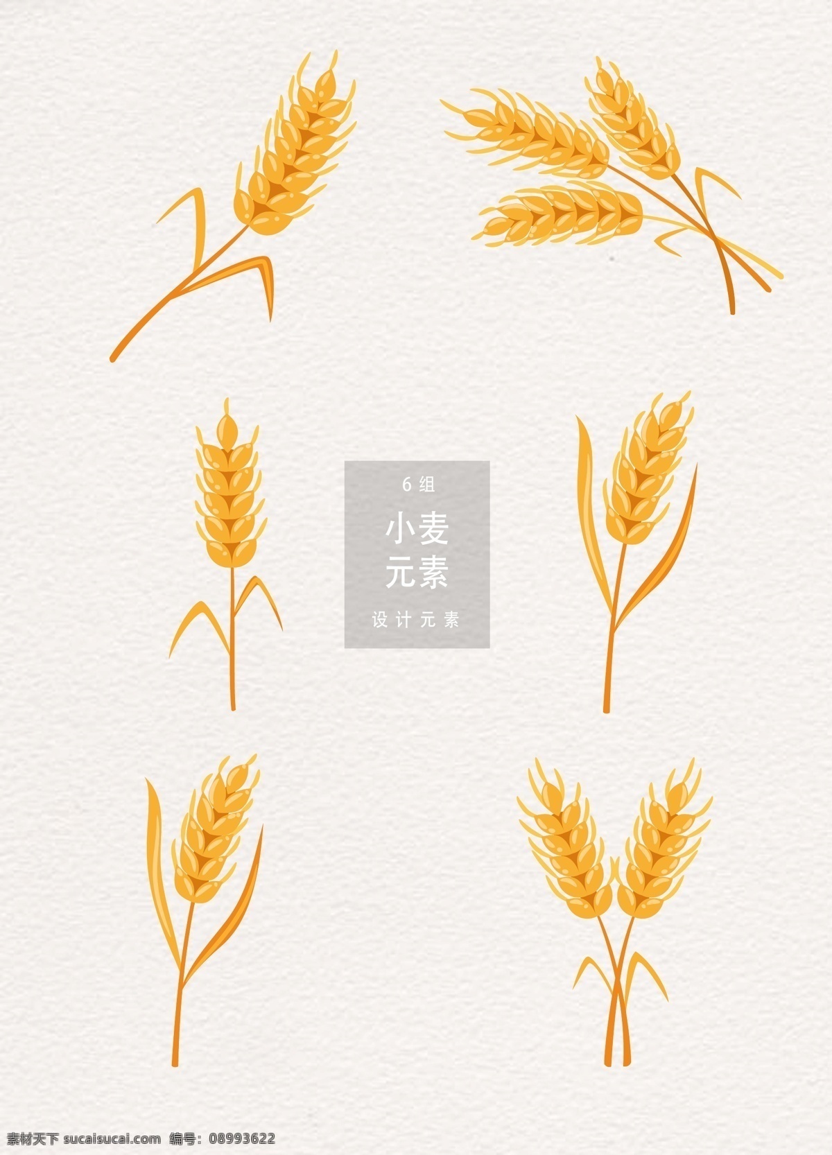 小麦 矢量 设计元素 植物 麦穗 五谷 小满 二十四节气 传统节气 谷物 麦子 农作物 ai素材
