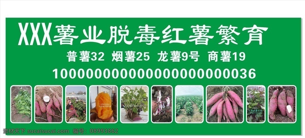 红薯喷绘 红薯广告 各种红薯 红薯苗 红薯
