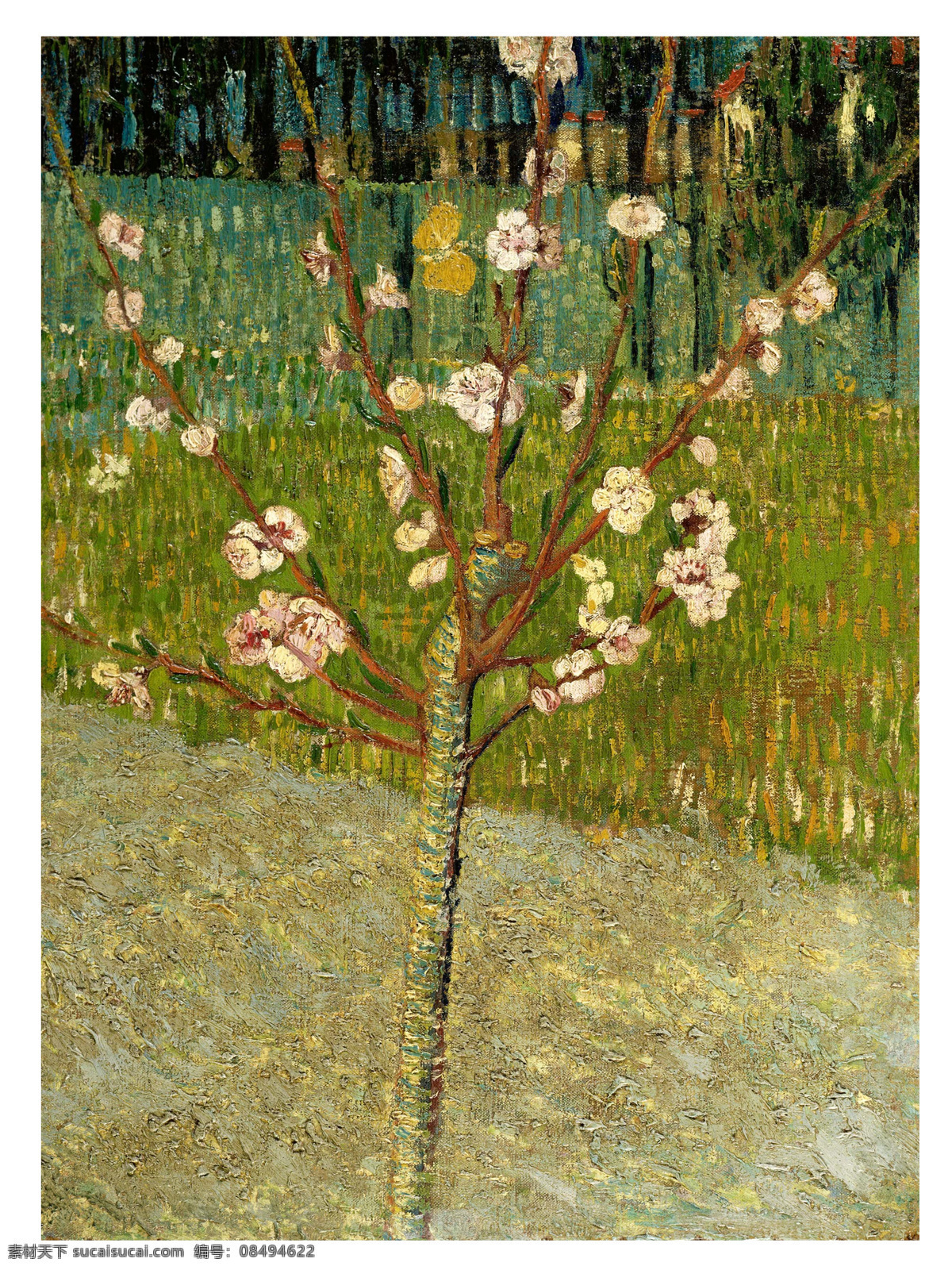 玫瑰花 白玫瑰 梵高油画 油画 荷兰画家 印象派画家 船只 梵高人物