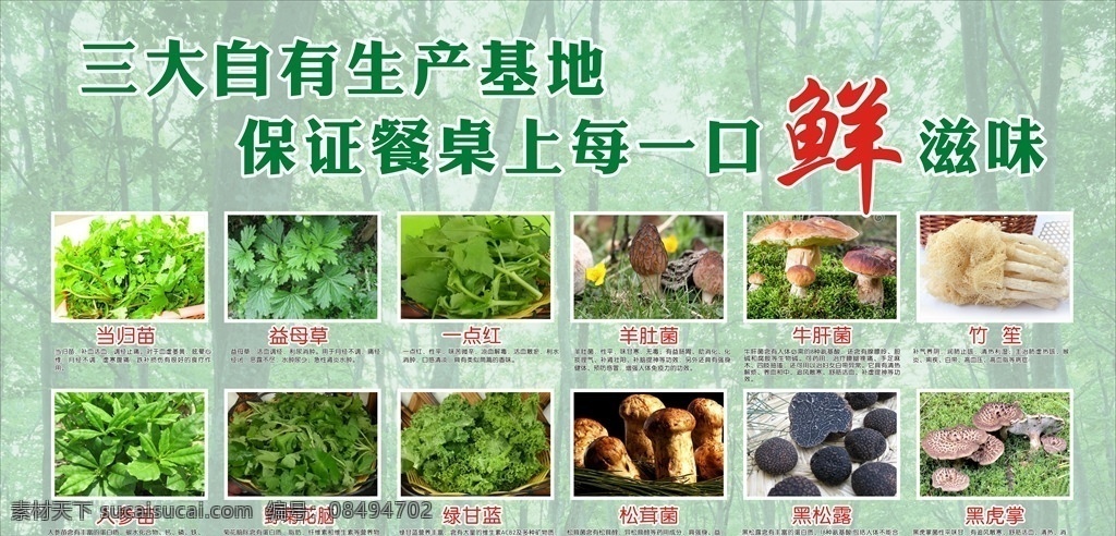 野生菌 野山菜 野山菌 野菜 深山里的野菜