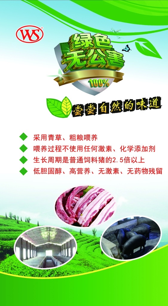 绿色 无公害 黑 猪肉 绿色猪肉 黑猪肉 万盛 有机 分层