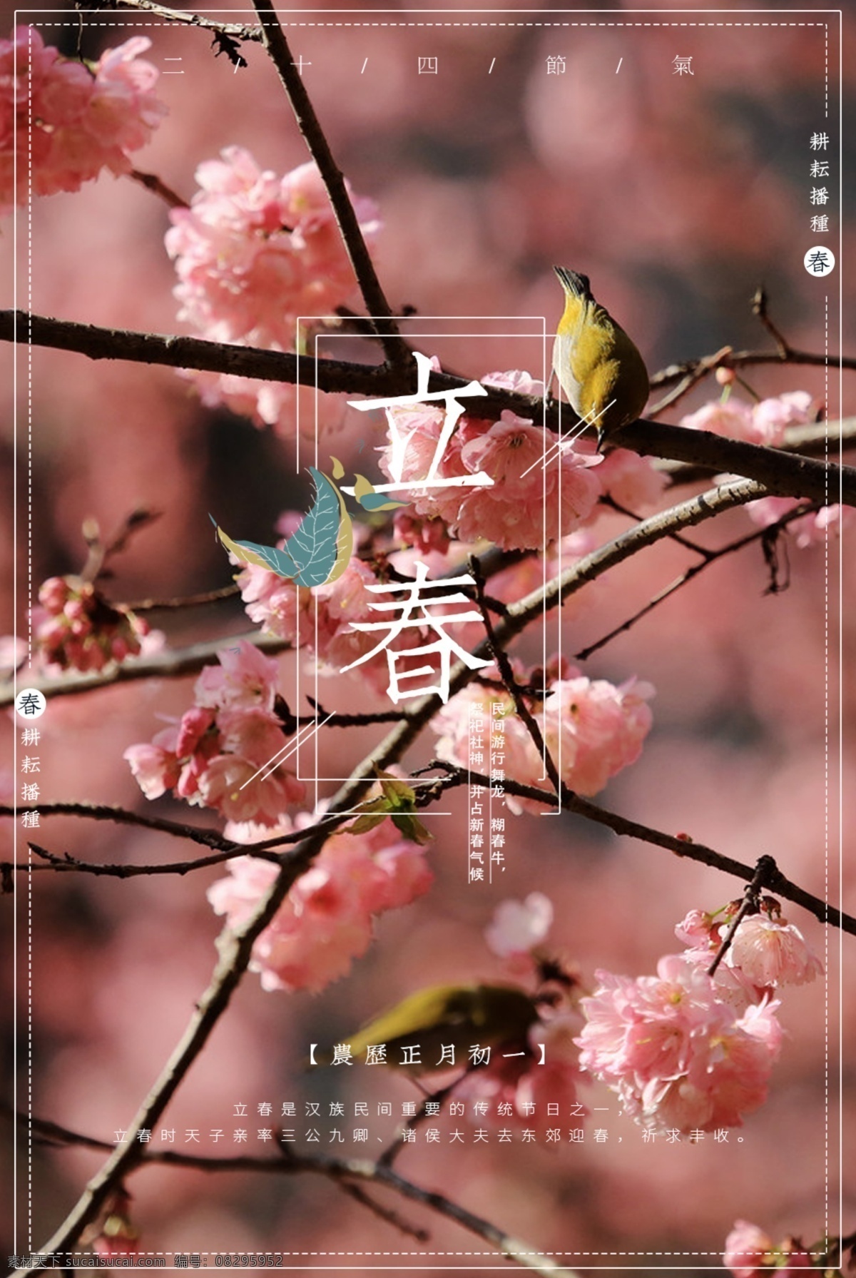 春色 花 满园 立春 海报 鸟 二十四节气 节气 展板 粉色