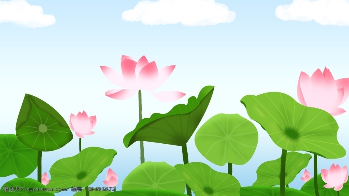 唯美 荷花 背景 图 插画 荷叶 背景插画