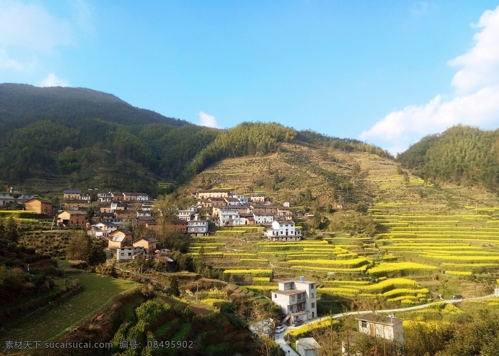云边故乡 蓝天 油菜花 村落 故乡 竹林 田园风光 自然景色 自然景观
