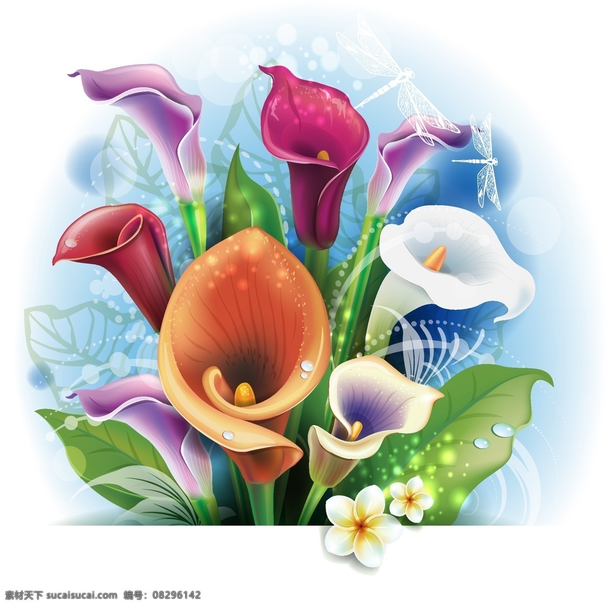 马蹄 莲花 矢量 马蹄莲花矢量 马蹄莲花素材 马蹄莲花 花矢量 花素材 花 calla 共享设计矢量 生物世界 花草