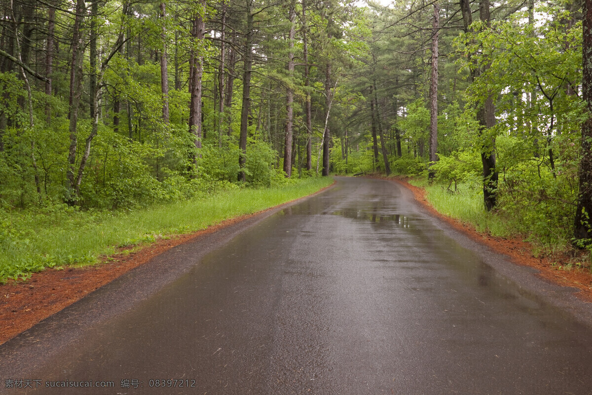下过 雨 公路 树林 森林 道路 树木 林荫小路 花草树木 自然风景 美丽风景 公路图片 环境家居