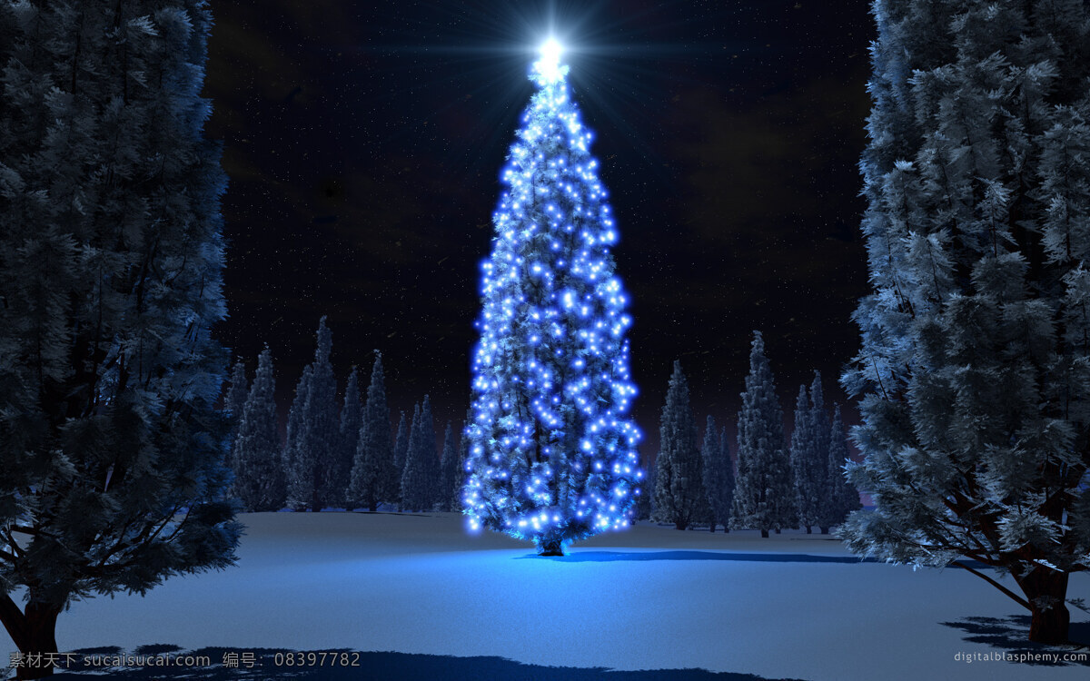 高清 夜晚 圣诞树 明亮 圣诞节 树林