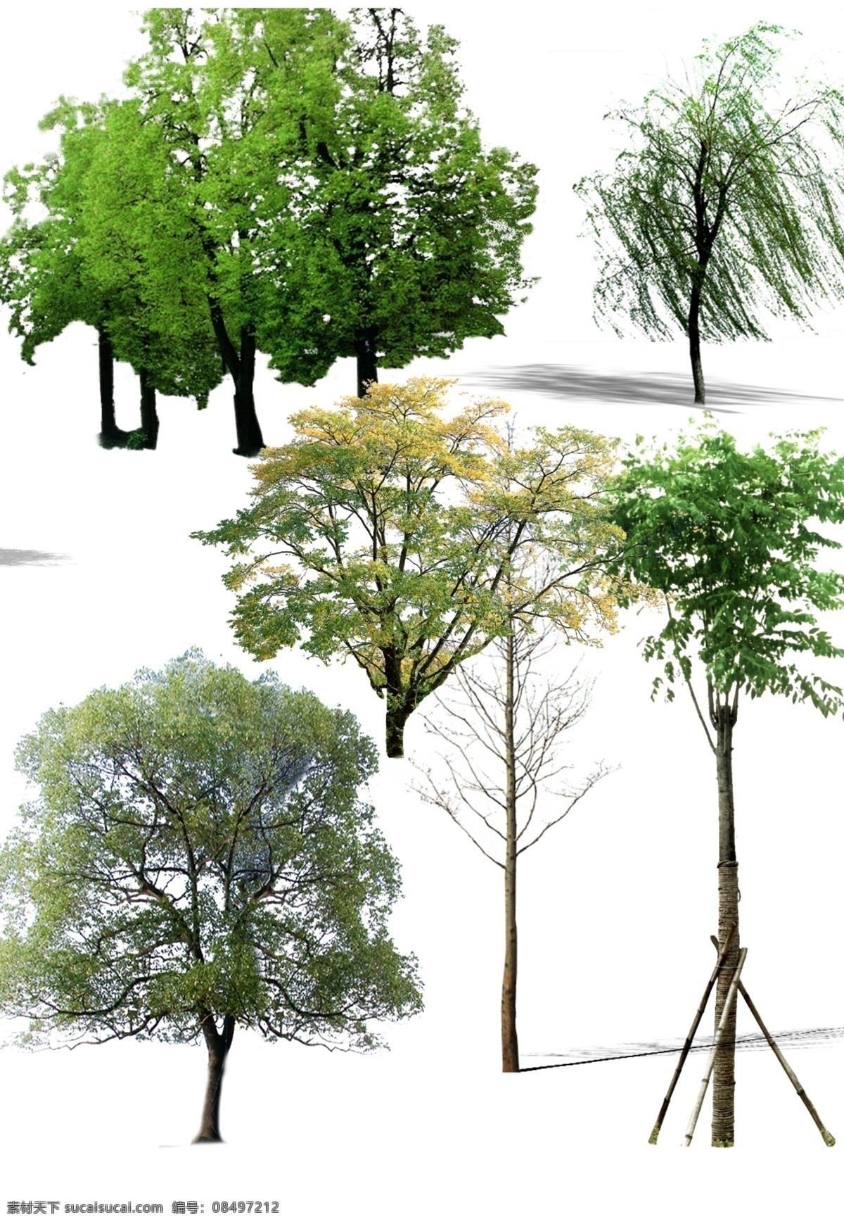 景观 效果图 后期 植被 源 室外景观 后期源文件 植物素材 ps文件 景观效果图 海报 价格表
