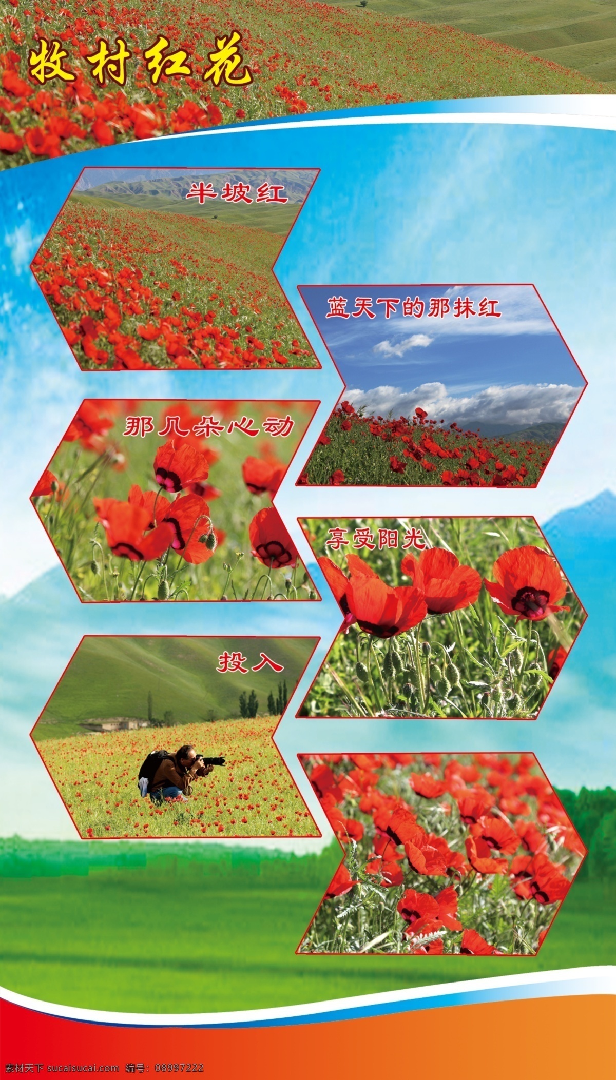 牧村红花 照片 背景边框 文字简介 青色 天蓝色