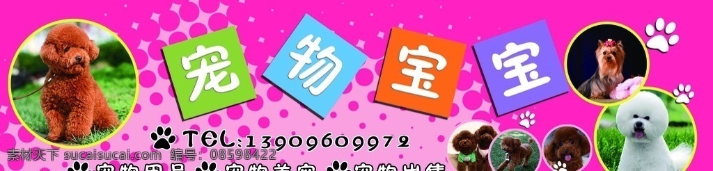 宠物宝宝 宠物门头 宠物 脚印 粉色 泰迪 可爱狗狗 金毛 泰迪犬 贵宾 分层 源文件